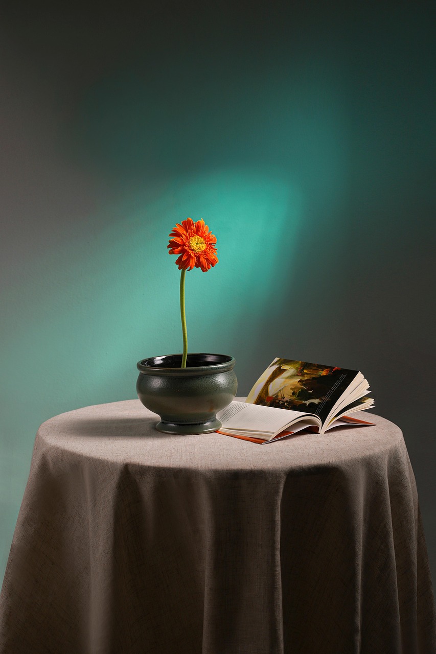 flowers, decor, gerbera, vase, nature, flower wallpaper, flower background, flower vase, beautiful flowers, interior design, book